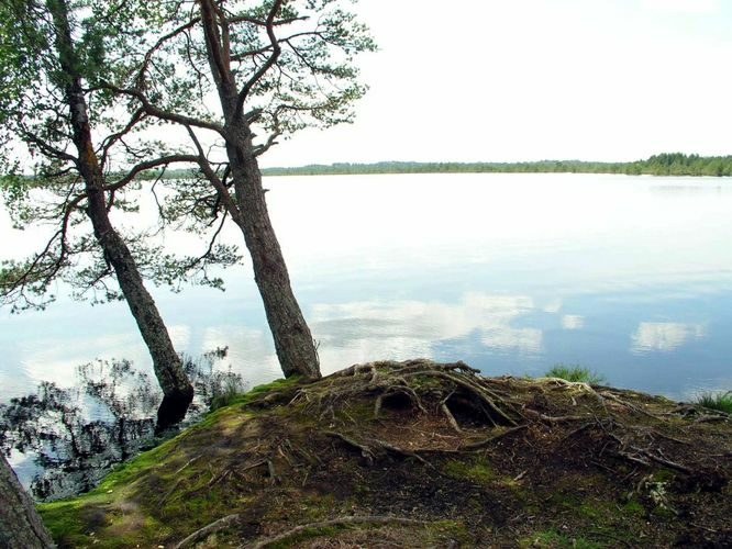 Maakond: Raplamaa Veekogu nimi: Loosalu järv Pildistamise aeg: 21. juuli 2004 Pildistaja: H. Timm Pildistamise koht: teadmata Asimuut: