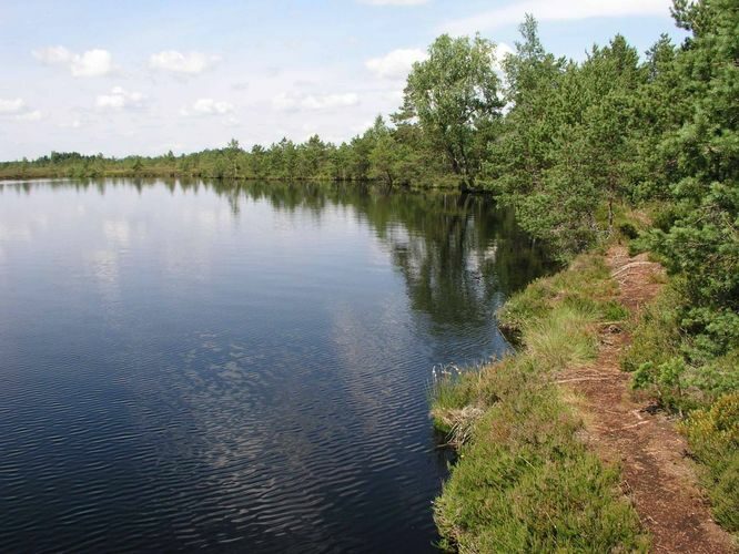 Maakond: Raplamaa Veekogu nimi: Loosalu järv Pildistamise aeg: 21. juuli 2004 Pildistaja: H. Timm Pildistamise koht: teadmata Asimuut: