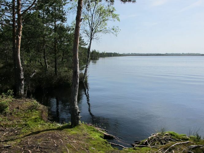 Maakond: Raplamaa Veekogu nimi: Loosalu järv Pildistamise aeg: 19. mai 2010 Pildistaja: H. Timm Pildistamise koht: teadmata Asimuut: