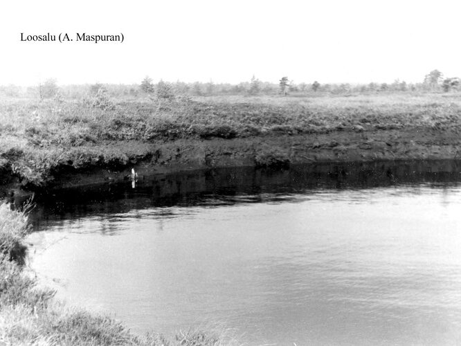 Maakond: Raplamaa Veekogu nimi: Loosalu järv Pildistamise aeg: teadmata Pildistaja: A. Maspuran Pildistamise koht: teadmata Asimuut: