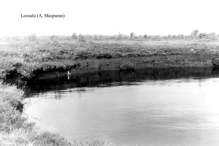 Maakond: Raplamaa Veekogu nimi: Loosalu järv Pildistamise aeg: teadmata Pildistaja: A. Maspuran Pildistamise koht: teadmata Asimuut: