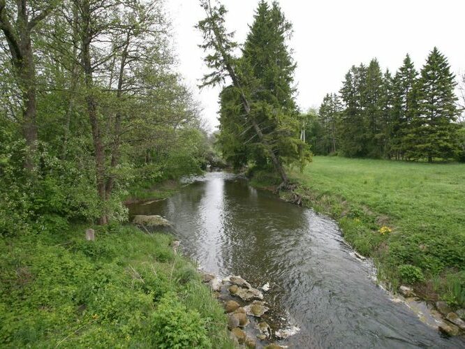 Maakond: Saaremaa Veekogu nimi: Lõve jõgi Pildistamise aeg: 27. mai 2009 Pildistaja: H. Timm Pildistamise koht: teadmata Asimuut: