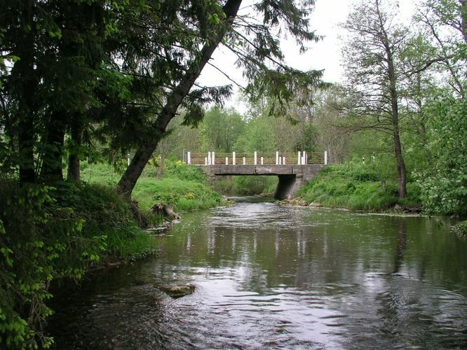 Maakond: Saaremaa Veekogu nimi: Lõve jõgi Pildistamise aeg: 27. mai 2009 Pildistaja: H. Timm Pildistamise koht: Sakla Asimuut: