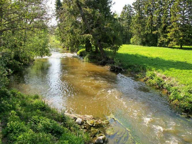 Maakond: Saaremaa Veekogu nimi: Lõve jõgi Pildistamise aeg: 22. mai 2011 Pildistaja: H. Timm Pildistamise koht: alamjooksu sild Asimuut: