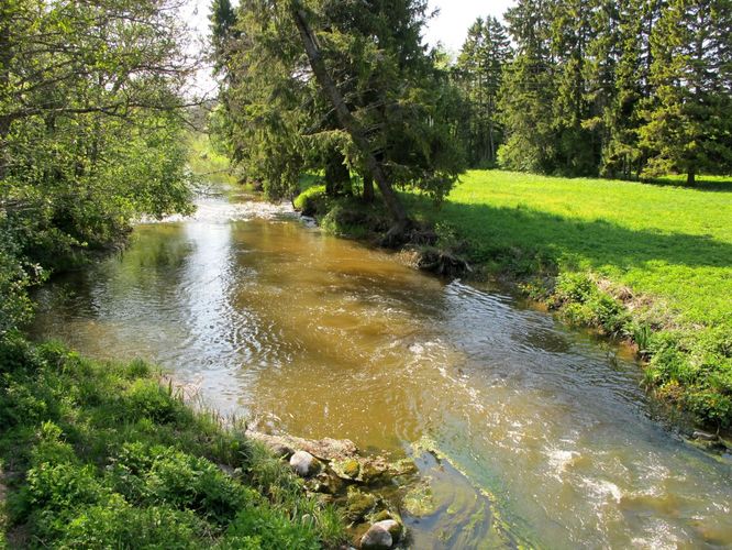 Maakond: Saaremaa Veekogu nimi: Lõve jõgi Pildistamise aeg: 22. mai 2011 Pildistaja: H. Timm Pildistamise koht: alamjooksu sild Asimuut: