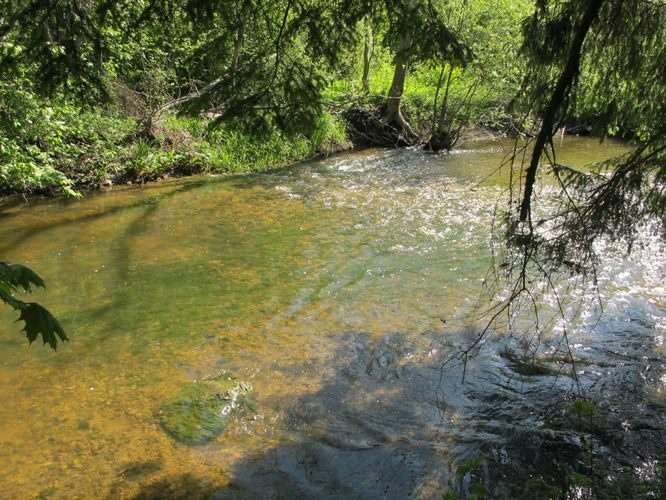 Maakond: Saaremaa Veekogu nimi: Lõve jõgi Pildistamise aeg: 22. mai 2011 Pildistaja: H. Timm Pildistamise koht: alamjooksu sild Asimuut: