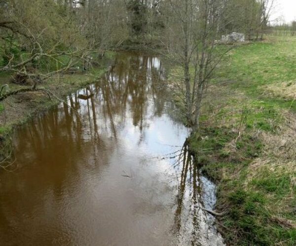 Maakond: Raplamaa Veekogu nimi: Luiste jõgi Pildistamise aeg: 12. mai 2013 Pildistaja: H. Timm Pildistamise koht: Teenuse Asimuut: