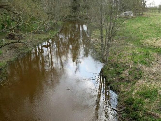 Maakond: Raplamaa Veekogu nimi: Luiste jõgi Pildistamise aeg: 12. mai 2013 Pildistaja: H. Timm Pildistamise koht: Teenuse Asimuut: