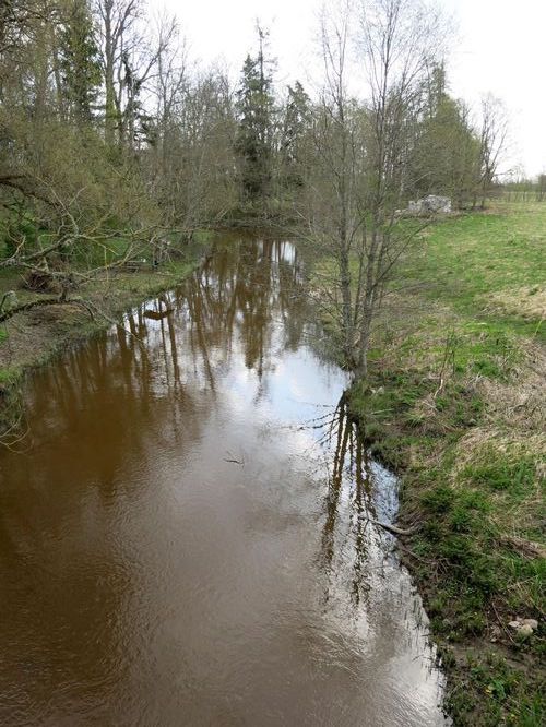 Maakond: Raplamaa Veekogu nimi: Luiste jõgi Pildistamise aeg: 12. mai 2013 Pildistaja: H. Timm Pildistamise koht: Teenuse Asimuut: