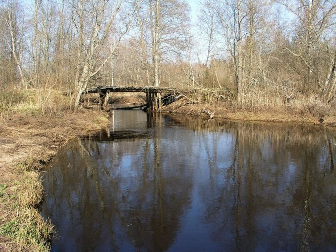 Maakond: Põlvamaa Veekogu nimi: Lutsu Pildistamise aeg: 26. aprill 2009 Pildistaja: H. Timm Pildistamise koht: Aarniku Asimuut: