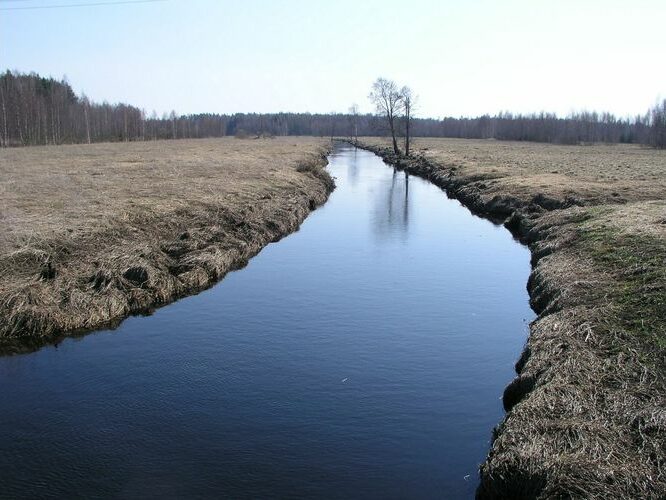 Maakond: Põlvamaa Veekogu nimi: Lutsu jõgi Pildistamise aeg: 26. aprill 2009 Pildistaja: H. Timm Pildistamise koht: Säkna Asimuut: