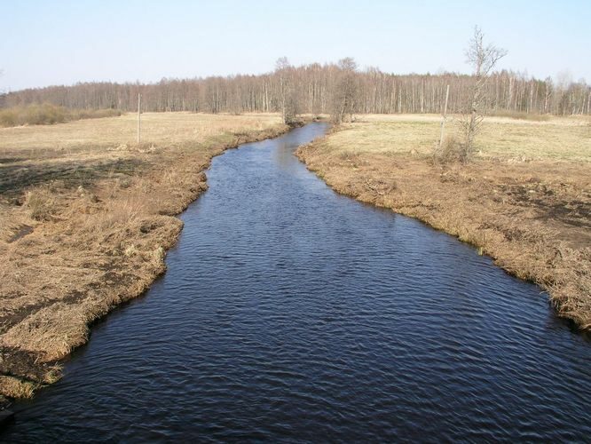 Maakond: Põlvamaa Veekogu nimi: Lutsu jõgi Pildistamise aeg: 26. aprill 2009 Pildistaja: H. Timm Pildistamise koht: Terepi Asimuut: