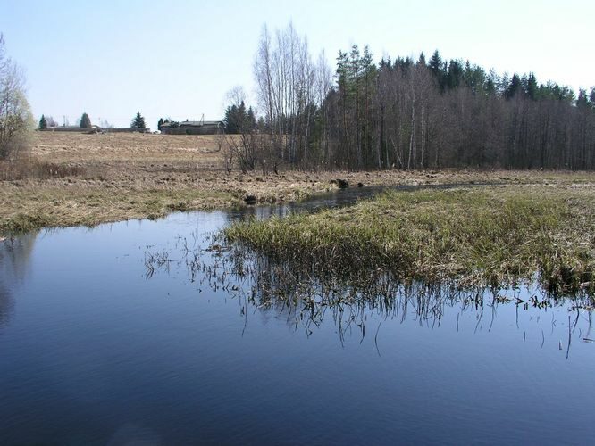 Maakond: Põlvamaa Veekogu nimi: Lutsu jõgi Pildistamise aeg: 26. aprill 2009 Pildistaja: H. Timm Pildistamise koht: Kauksi Asimuut: