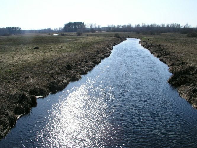 Maakond: Põlvamaa Veekogu nimi: Lutsu jõgi Pildistamise aeg: 26. aprill 2009 Pildistaja: H. Timm Pildistamise koht: Terepi Asimuut: