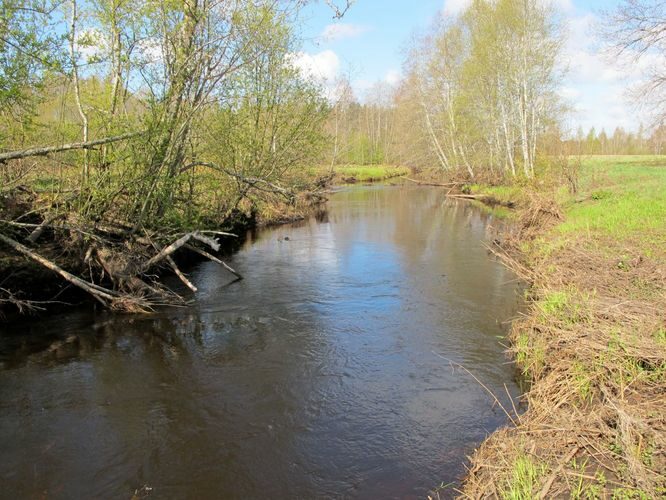 Maakond: Põlvamaa Veekogu nimi: Lutsu jõgi Pildistamise aeg: 5. mai 2011 Pildistaja: H. Timm Pildistamise koht: Aarniku Asimuut: