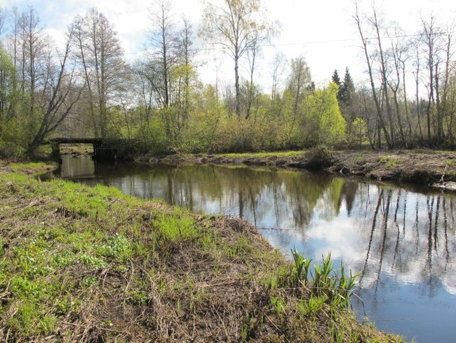 Maakond: Põlvamaa Veekogu nimi: Lutsu jõgi Pildistamise aeg: 5. mai 2011 Pildistaja: H. Timm Pildistamise koht: Aarniku Asimuut: