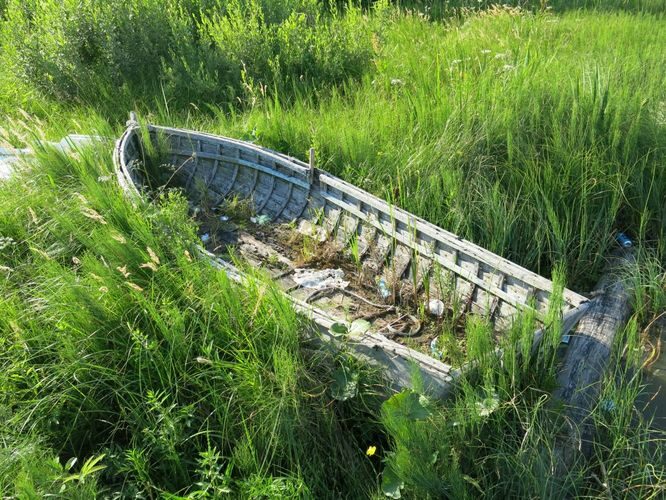 Maakond: Põlvamaa Veekogu nimi: Lüübnitsa Umbjärv Pildistamise aeg: 13. juuli 2013 Pildistaja: H. Timm Pildistamise koht: teadmata Asimuut: