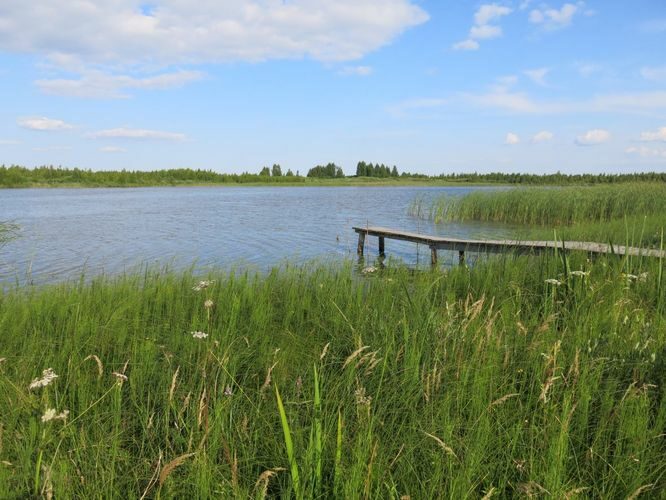 Maakond: Põlvamaa Veekogu nimi: Lüübnitsa Umbjärv Pildistamise aeg: 13. juuli 2013 Pildistaja: H. Timm Pildistamise koht: teadmata Asimuut: