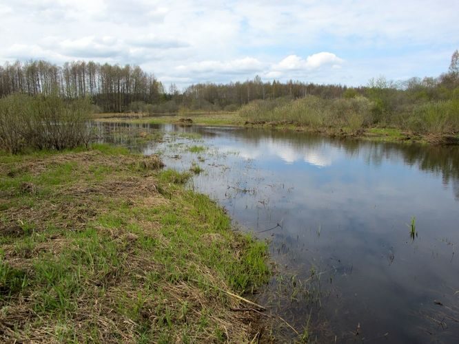 Maakond: Põlvamaa Veekogu nimi: Mädajõgi Pildistamise aeg: 3. mai 2011 Pildistaja: H. Timm Pildistamise koht: Suure-Veerksu Asimuut: