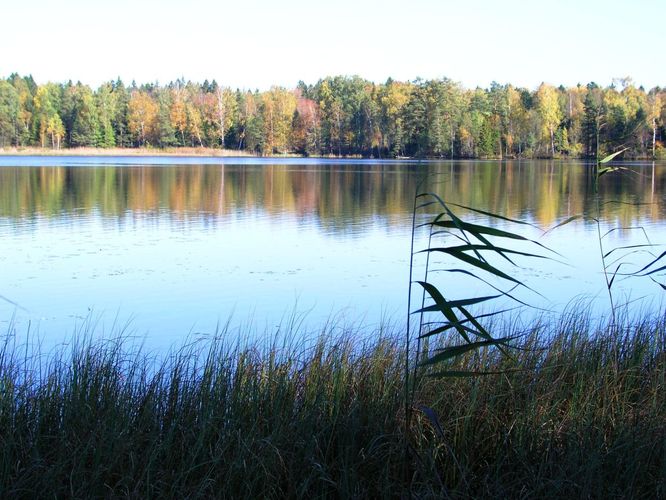 Maakond: Jõgevamaa Veekogu nimi: Männikjärv Pildistamise aeg: 8. oktoober 2005 Pildistaja: H. Timm Pildistamise koht: teadmata Asimuut: