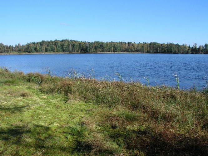 Maakond: Jõgevamaa Veekogu nimi: Männikjärv Pildistamise aeg: 8. oktoober 2005 Pildistaja: H. Timm Pildistamise koht: teadmata Asimuut: