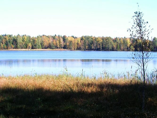 Maakond: Jõgevamaa Veekogu nimi: Männikjärv Pildistamise aeg: 8. oktoober 2005 Pildistaja: H. Timm Pildistamise koht: teadmata Asimuut: