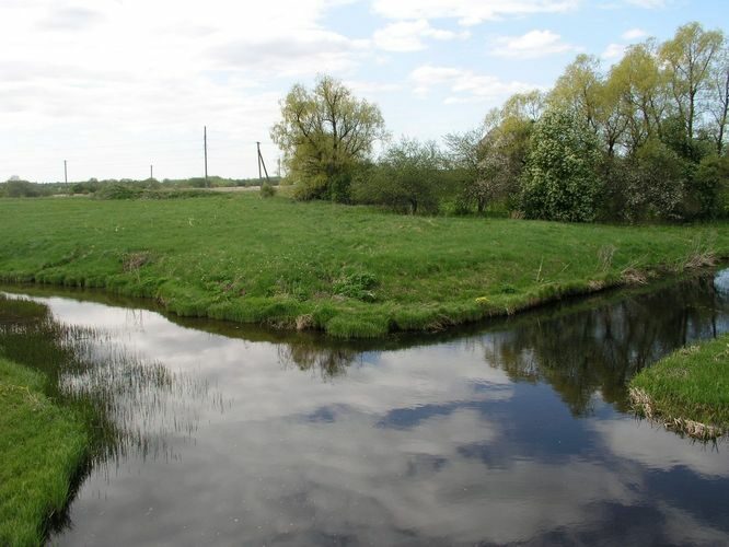 Maakond: Läänemaa Veekogu nimi: Marimetsa oja ja Liivi jõgi Pildistamise aeg: 16. mai 2009 Pildistaja: H. Timm Pildistamise koht: ühinemiskoht Asimuut: