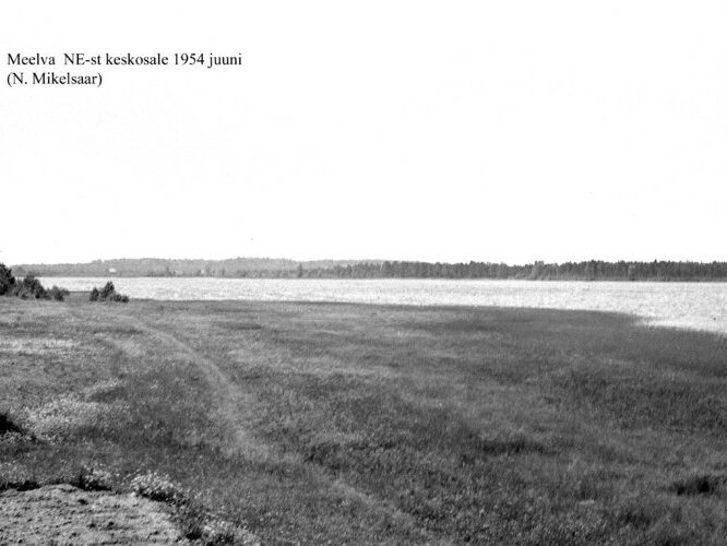 Maakond: Põlvamaa Veekogu nimi: Meelva järv Pildistamise aeg: juuni 1954 Pildistaja: N. Mikelsaar Pildistamise koht: NE kaldalt keskosale Asimuut: SW