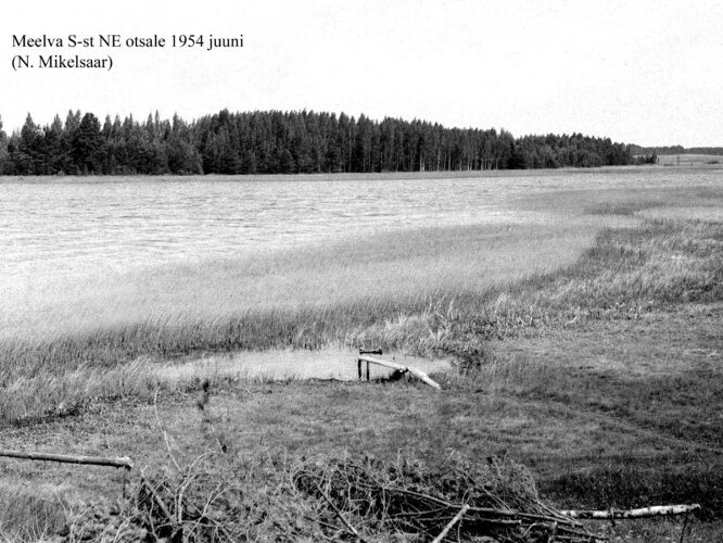 Maakond: Põlvamaa Veekogu nimi: Meelva järv Pildistamise aeg: juuni 1954 Pildistaja: N. Mikelsaar Pildistamise koht: NE kaldalt NE osale Asimuut: NNW