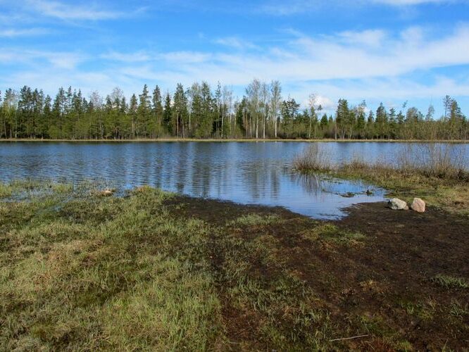 Maakond: Põlvamaa Veekogu nimi: Meelva järv Pildistamise aeg: 6. mai 2010 Pildistaja: H. Timm Pildistamise koht: teadmata Asimuut: