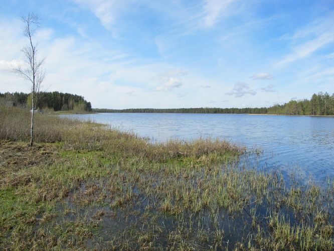 Maakond: Põlvamaa Veekogu nimi: Meelva järv Pildistamise aeg: 6. mai 2010 Pildistaja: H. Timm Pildistamise koht: teadmata Asimuut: