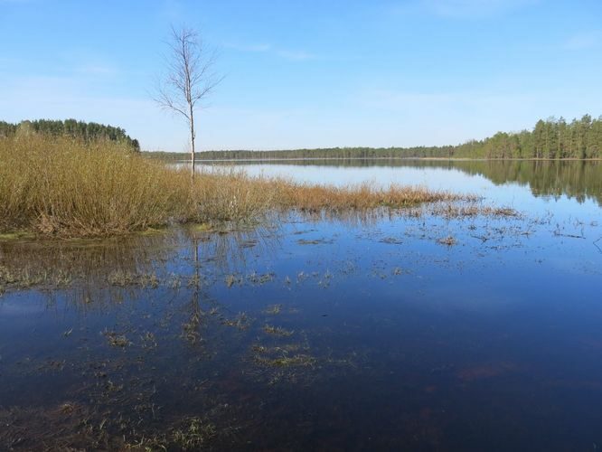 Maakond: Põlvamaa Veekogu nimi: Meelva järv Pildistamise aeg: 8. mai 2013 Pildistaja: H. Timm Pildistamise koht: teadmata Asimuut: