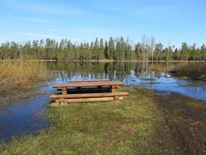 Maakond: Põlvamaa Veekogu nimi: Meelva järv Pildistamise aeg: 8. mai 2013 Pildistaja: H. Timm Pildistamise koht: teadmata Asimuut: