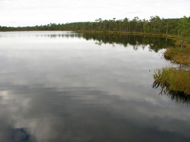 Maakond: Põlvamaa Veekogu nimi: Meenikunno Keskmine Soojärv Pildistamise aeg: august 2009 Pildistaja: H. Timm Pildistamise koht: teadmata Asimuut: