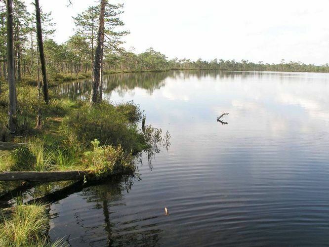 Maakond: Põlvamaa Veekogu nimi: Meenikunno Suur Soojärv Pildistamise aeg: 22. august 2004 Pildistaja: H. Timm Pildistamise koht: teadmata Asimuut: