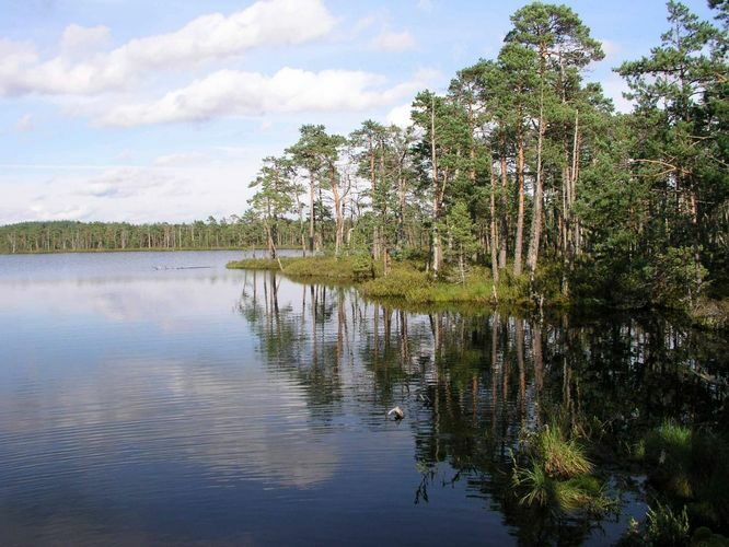 Maakond: Põlvamaa Veekogu nimi: Meenikunno Suur Soojärv Pildistamise aeg: 22. august 2004 Pildistaja: H. Timm Pildistamise koht: teadmata Asimuut: