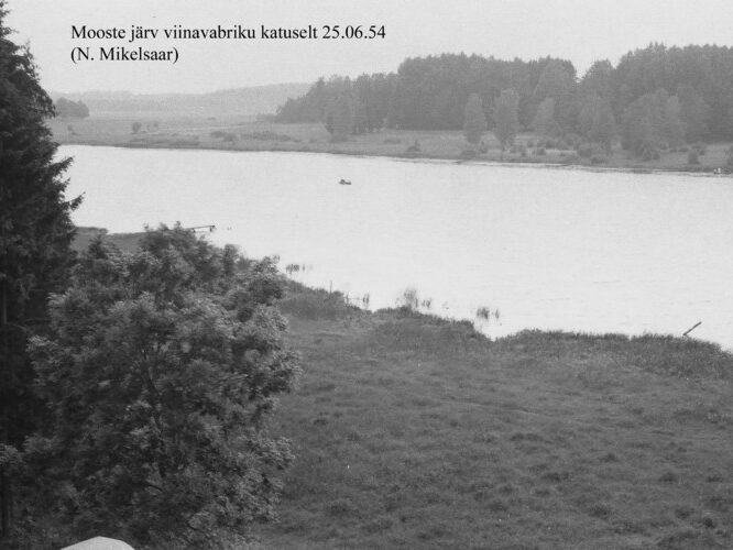 Maakond: Põlvamaa Veekogu nimi: Mooste järv Pildistamise aeg: 25. juuni 1954 Pildistaja: N. Mikelsaar Pildistamise koht: viinavabriku katuselt Asimuut: