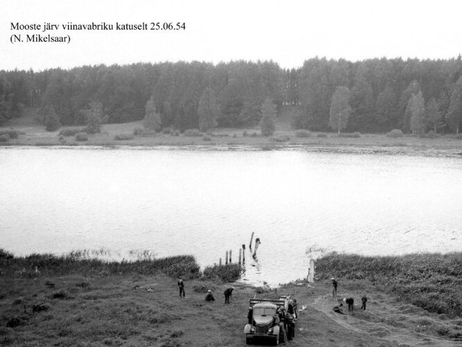 Maakond: Põlvamaa Veekogu nimi: Mooste järv Pildistamise aeg: 25. juuni 1954 Pildistaja: N. Mikelsaar Pildistamise koht: viinavabriku katuselt Asimuut: