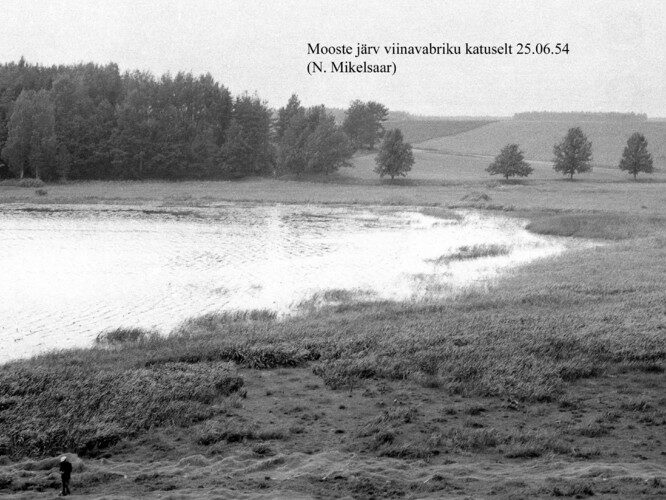 Maakond: Põlvamaa Veekogu nimi: Mooste järv Pildistamise aeg: 25. juuni 1954 Pildistaja: N. Mikelsaar Pildistamise koht: viinavabriku katuselt Asimuut: