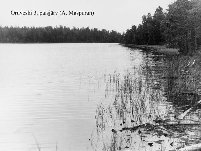 Maakond: Lääne-Virumaa Veekogu nimi: Muike paisjärv Pildistamise aeg: teadmata Pildistaja: A. Maspuran Pildistamise koht: teadmata Asimuut: