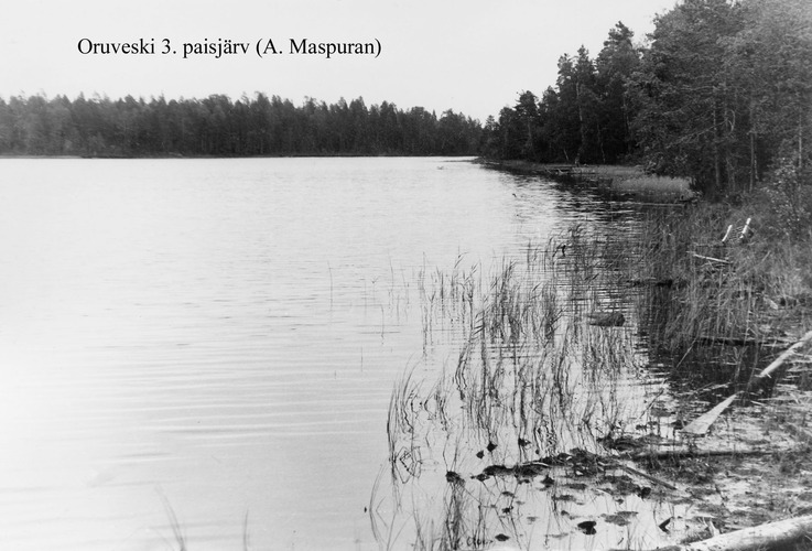 Maakond: Lääne-Virumaa Veekogu nimi: Muike paisjärv Pildistamise aeg: teadmata Pildistaja: A. Maspuran Pildistamise koht: teadmata Asimuut: