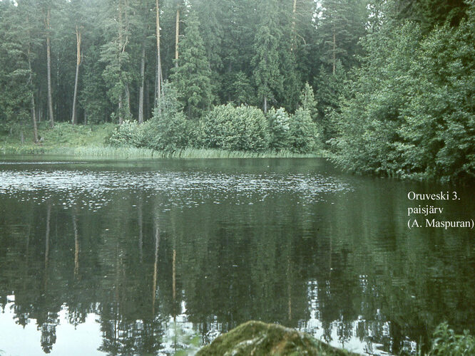 Maakond: Lääne-Virumaa Veekogu nimi: Muike paisjärv Pildistamise aeg: teadmata Pildistaja: A. Maspuran Pildistamise koht: teadmata Asimuut: