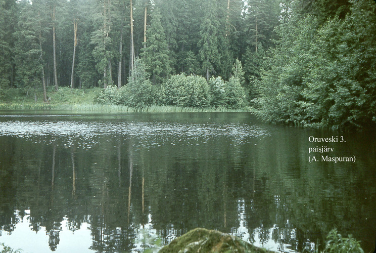 Maakond: Lääne-Virumaa Veekogu nimi: Muike paisjärv Pildistamise aeg: teadmata Pildistaja: A. Maspuran Pildistamise koht: teadmata Asimuut: