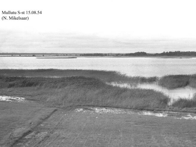 Maakond: Saaremaa Veekogu nimi: Mullutu laht Pildistamise aeg: 15. august 1954 Pildistaja: N. Mikelsaar Pildistamise koht: S kaldalt Asimuut: