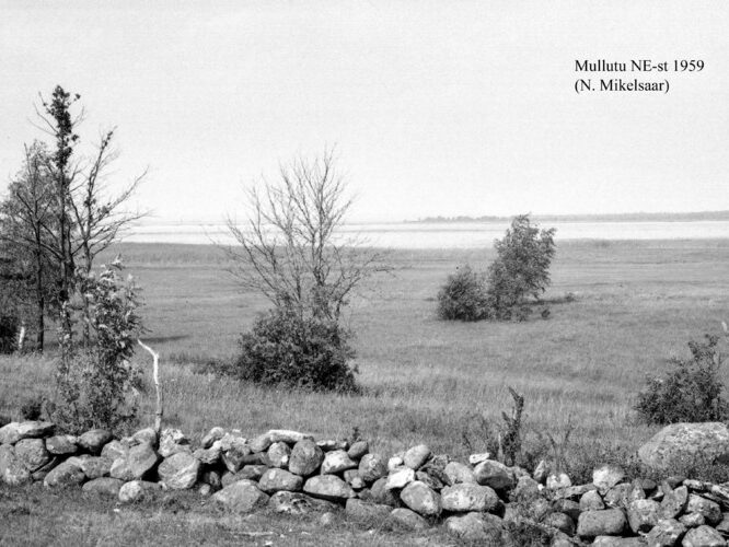 Maakond: Saaremaa Veekogu nimi: Mullutu laht Pildistamise aeg: 1959 Pildistaja: N. Mikelsaar Pildistamise koht: NE kaldalt Asimuut: