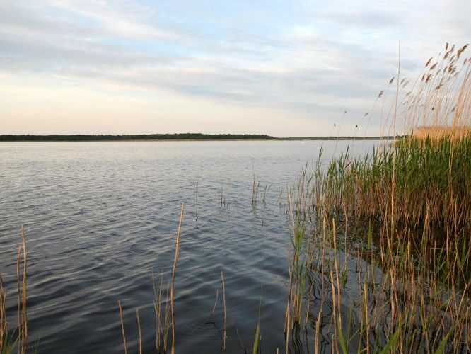 Maakond: Saaremaa Veekogu nimi: Mullutu laht Pildistamise aeg: 24. mai 2008 Pildistaja: H. Timm Pildistamise koht: teadmata Asimuut: