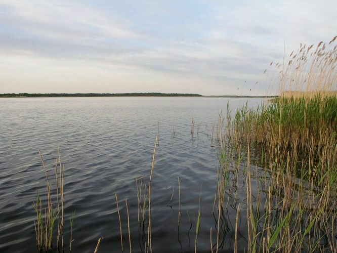 Maakond: Saaremaa Veekogu nimi: Mullutu laht Pildistamise aeg: 24. mai 2008 Pildistaja: H. Timm Pildistamise koht: teadmata Asimuut: