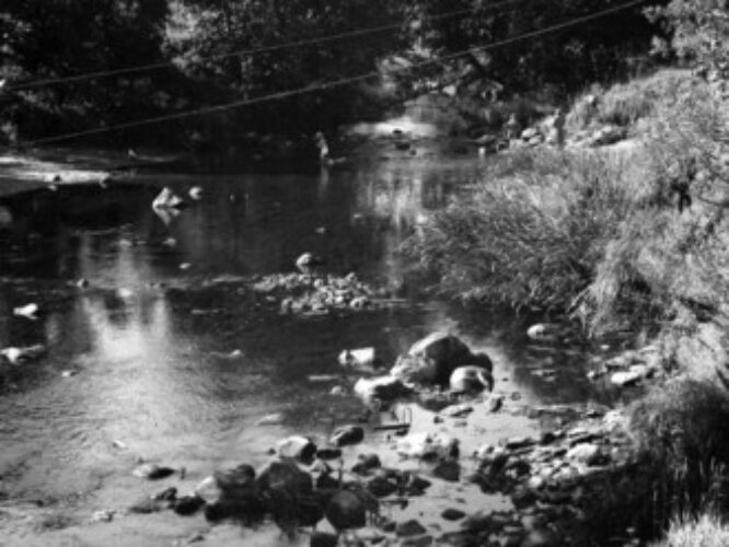 Maakond: Lääne-Virumaa Veekogu nimi: Mustoja Pildistamise aeg: august 1958 Pildistaja: N. Mikelsaar Pildistamise koht: Vihula veskipaisu all Asimuut: