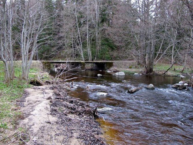 Maakond: Lääne-Virumaa Veekogu nimi: Mustoja Pildistamise aeg: 1. mai 2010 Pildistaja: H. Timm Pildistamise koht: alamjooks Asimuut: