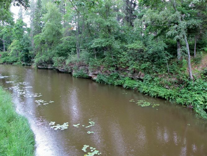 Maakond: Lääne-Virumaa Veekogu nimi: Mustoja Pildistamise aeg: 17. juuli 2011 Pildistaja: H. Timm Pildistamise koht: Vihula Asimuut: